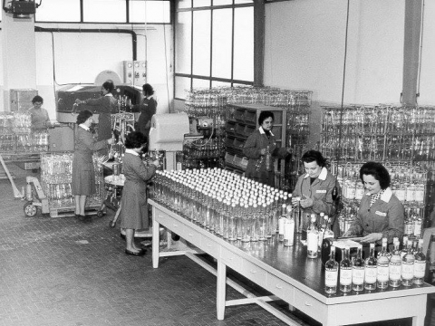 AZIENDA PALLINI