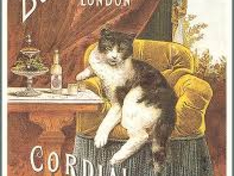 CORDIAL OLD TOM GIN 