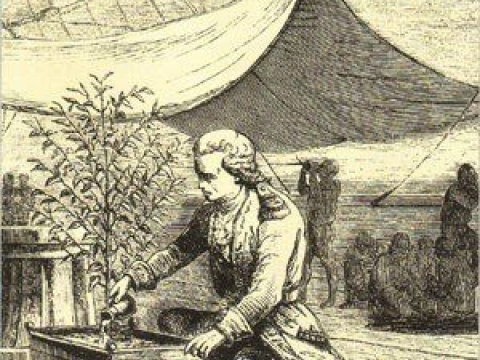 DE CLIEU 1720