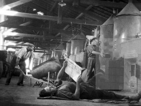DISTILLERIA BRANDY FRANCIA 1950