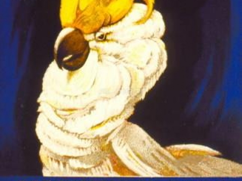 DUDOVICH PER STREGA 