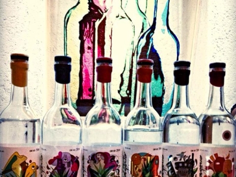 EL JOLGORIO MEZCAL