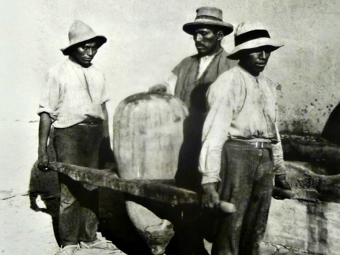 LAVORAZIONE PISCO