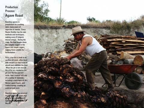 MEZCAL AGAVE ROASTING