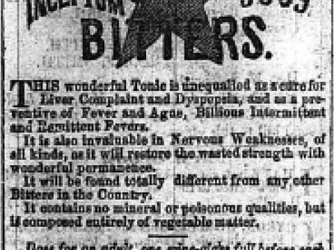 MORNINF STAR BITTERS VIRGINIA FREE PRESS 1866