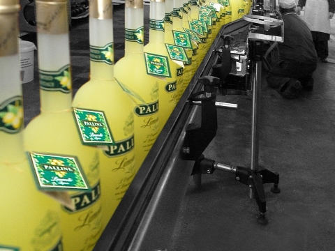 PALLINI LIMONCELLO